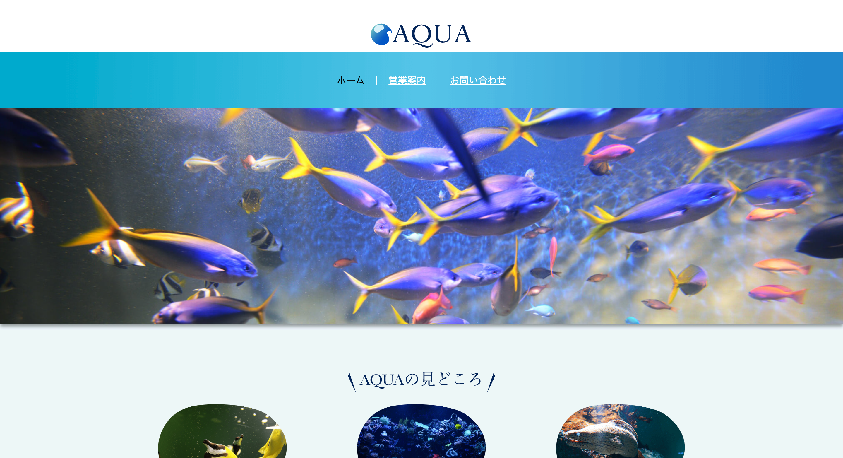 Aqua-site